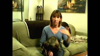 Westworld - Some things about it ring true