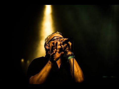 IK HOU VAN U - STIJN MEURIS (Live@LageLandenSessie 2018)