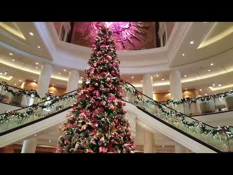 Thumbnail for Beautiful Queen Mary 2