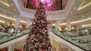 Beautiful Queen Mary 2