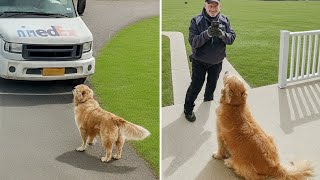 When Animals Totally Surprise Delivery Drivers 🤪 Funny Animal and Human Videos 2025