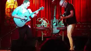 The Vandigue - Gingerale (Live)