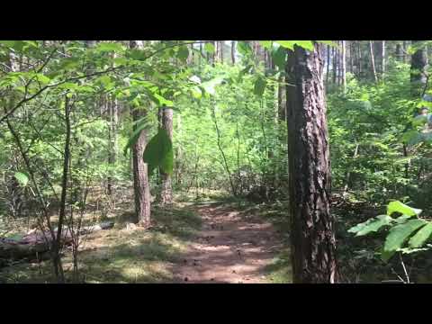 Wandelen met BSC 2   Hilversums Wasmeer