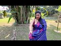 Saree In The City Plus Size Model Eti Printed Saree Outdoor Shoot