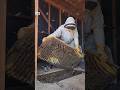 We couldn't believe how MASSIVE this hive was!! #bee #rescue #construction