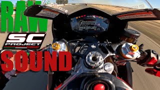 2024 Aprilia RS660 Tofeo SC Project exhaust sound