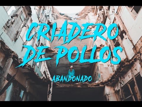 El MAYOR CRIADERO DE POLLOS DE EUROPA ABANDONADO