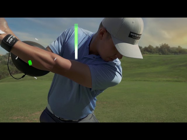 structure ball watson golf