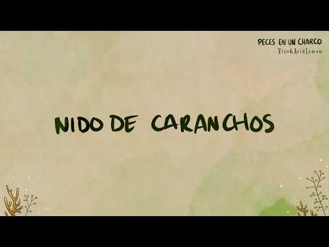 Nido de caranchos