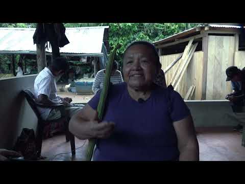 El Uso del ají como medicina tradicional