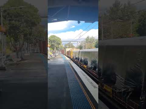 6BA6  going  thru  west  Ryde  station  at 1215pm  with  NR41  LDP008 004 on 17 of August  2022