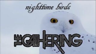 The Gathering -  Nighttime Birds   (official lyrics video) HD