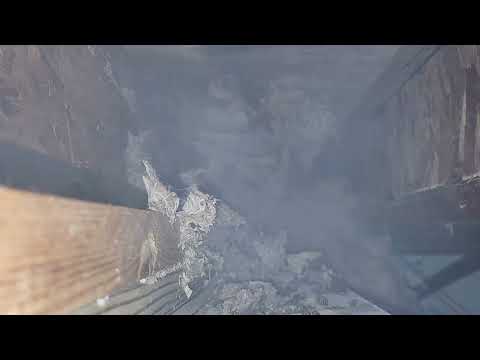 Yellow Jackets Hiding in the Basement in Colts Neck, NJ