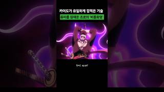 카이도가 유일하게 겁먹은 기술 조로의 일도류 '비룡화염'