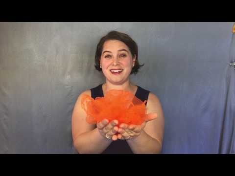 A Little Seed by Mabel Watts and Mary Lou Siegal