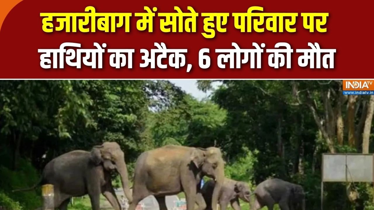 Jharkhand के Hazaribagh में सोते परिवार पर हाथियों का अटैक, एक ही पर