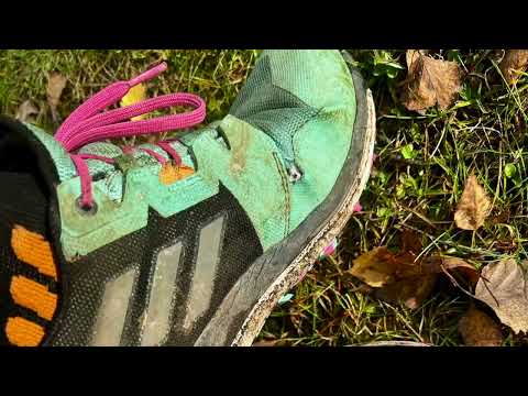 1000km Adidas Terrex Agravic GTX - Testabbruch?