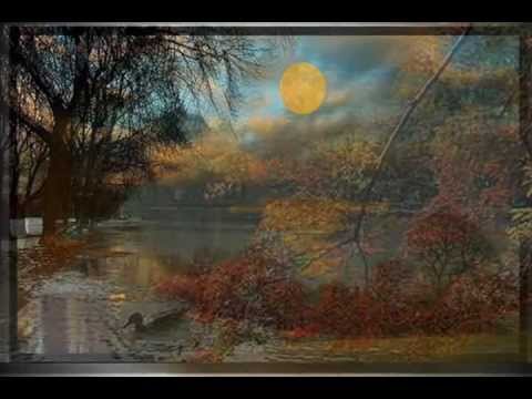 Con đường lá me bay (Nhớ nhung 3) Sheet - Hoàng Nhật Minh