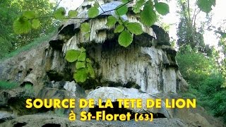 preview picture of video 'Source de la Tête de Lion à St Floret (63) HD'