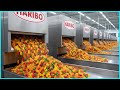 Inside The HARIBO Factory That Makes 60 Million Gummy Bears Every Day