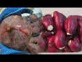 UBI BAKAR CILEMBU DARI UBI BIASA EMANG BISA Ideusahamodalkecil Ubicilembu