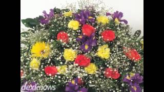 Angels Cremation And Burials Mesa AZ 85201-2109