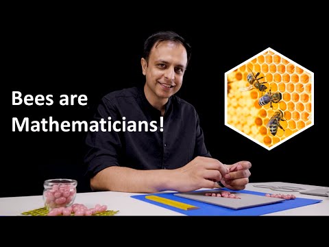 Why do bees build hexagons, not circles or squares?