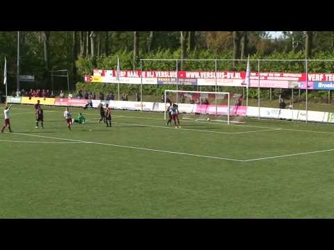 Samenvatting Barendrecht - IJsselmeervogels