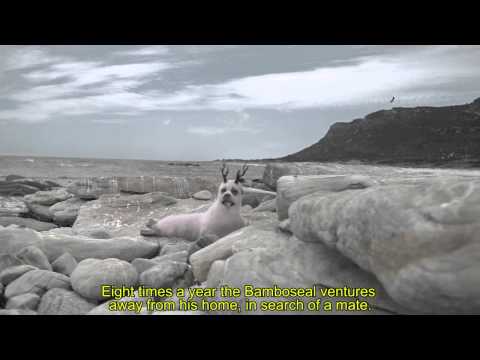 WONDER WORLD FUR - Bamboseal SUBTITLE