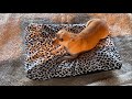 Pet Bed Movie