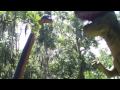 Dinosaur World May 2nd 2009 Part 2