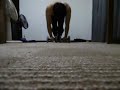 アブローラー600回(約5秒以内に1回のテンポ) 600 Ab Wheel