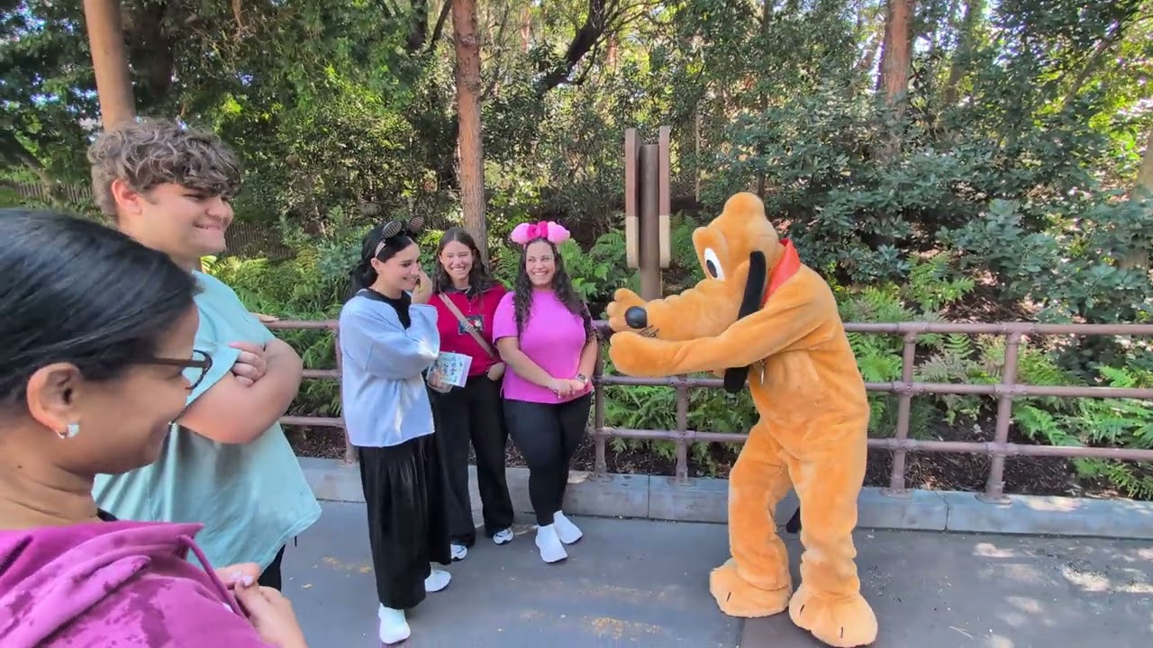 Jeide Disneyland 2025