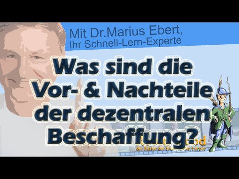 Was sind die Vor- und Nachteile der dezentralen Beschaffung?