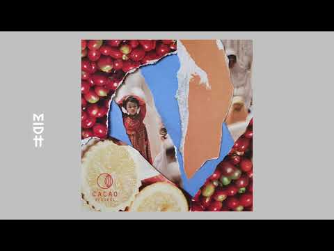 Le Croque & atsou feat. Bobbi Fallon - Bird Of Soul (Original Mix)