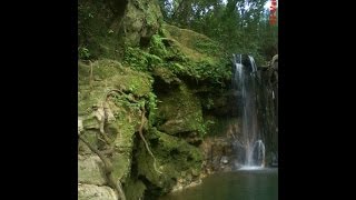 preview picture of video 'Cachoeira em Regente Feijo-Sp'