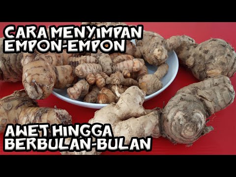 Cara simpan Laos, Kunyit, Jahe, Kencur, Kunci & Temulawak agar awet hingga berbulan-bulan | YouTube