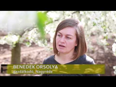 Tájkép – 2016. május 23.