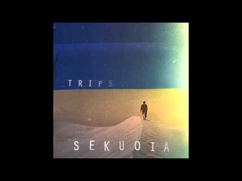 Sekuoia - Something we lost