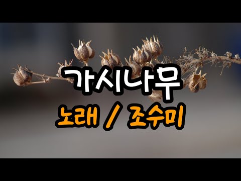 가시나무 The thorn tree(노래 조수미 SUMI JO) 영상편집 PMW46