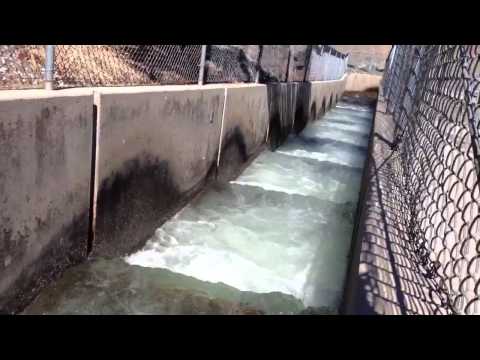 Fish Ladder