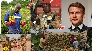 FRANCE SHOCKED BURKINA FASO! 🇫🇷😱 IBRAHIM TRAORÉ FIRES BACK WITH A NEW PINEAPPLE FACTORY! 🇧🇫🔥