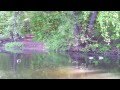 Chris Wonderful Water Surface 