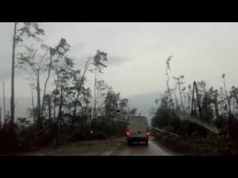 Bory Tucholskie poranek po nawałnicy 12 08 2017 Rytel   Suszek   Jeziorki