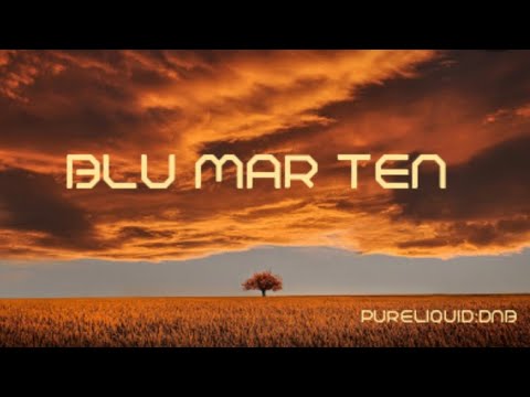 Blu Mar Ten Tribute Mix (Pure:Liquid) No: 213