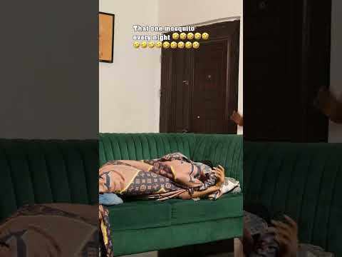 That one Mosquito every night 🤣🤣🤣🤣🤣 #thewinlos #comedyvideos