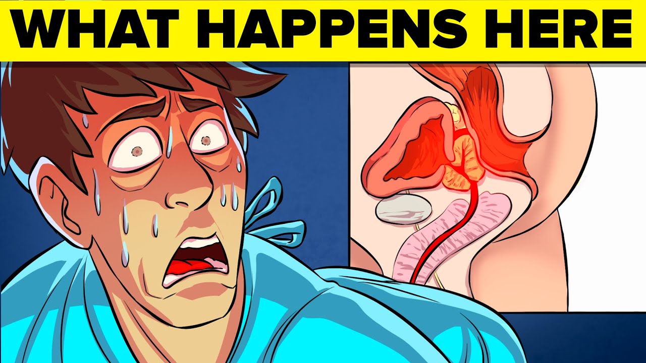 Weird Facts About the Prostate