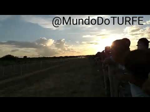 3° Páreo Classificatório do GP HARAS GRUPO PEREIRA E HARAS REDENÇÃO 2019 .