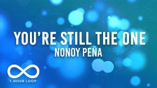 Download lagu Nonoy Peña - You're Still The One (1 Hour Loop Lyrics) mp3
