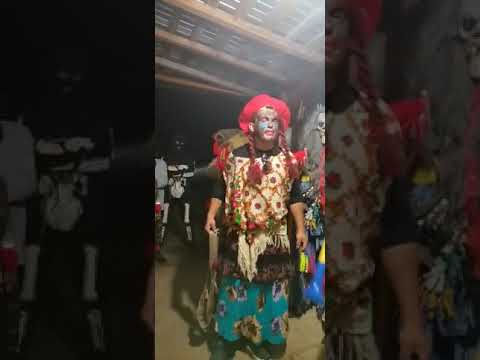 ursul din faraoanele Vrancea